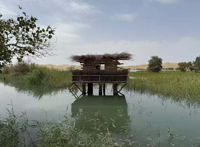 葛茯苓：立秋